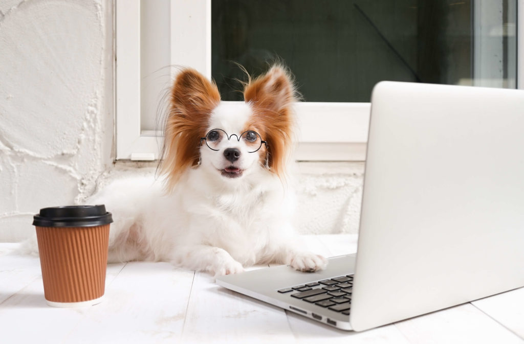 A dog with its paw on a laptop's keyboard and a cup of coffee beside it
